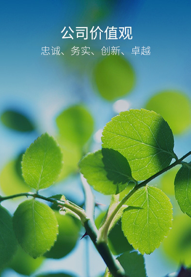 LETOU - 乐投(中文)官方网站